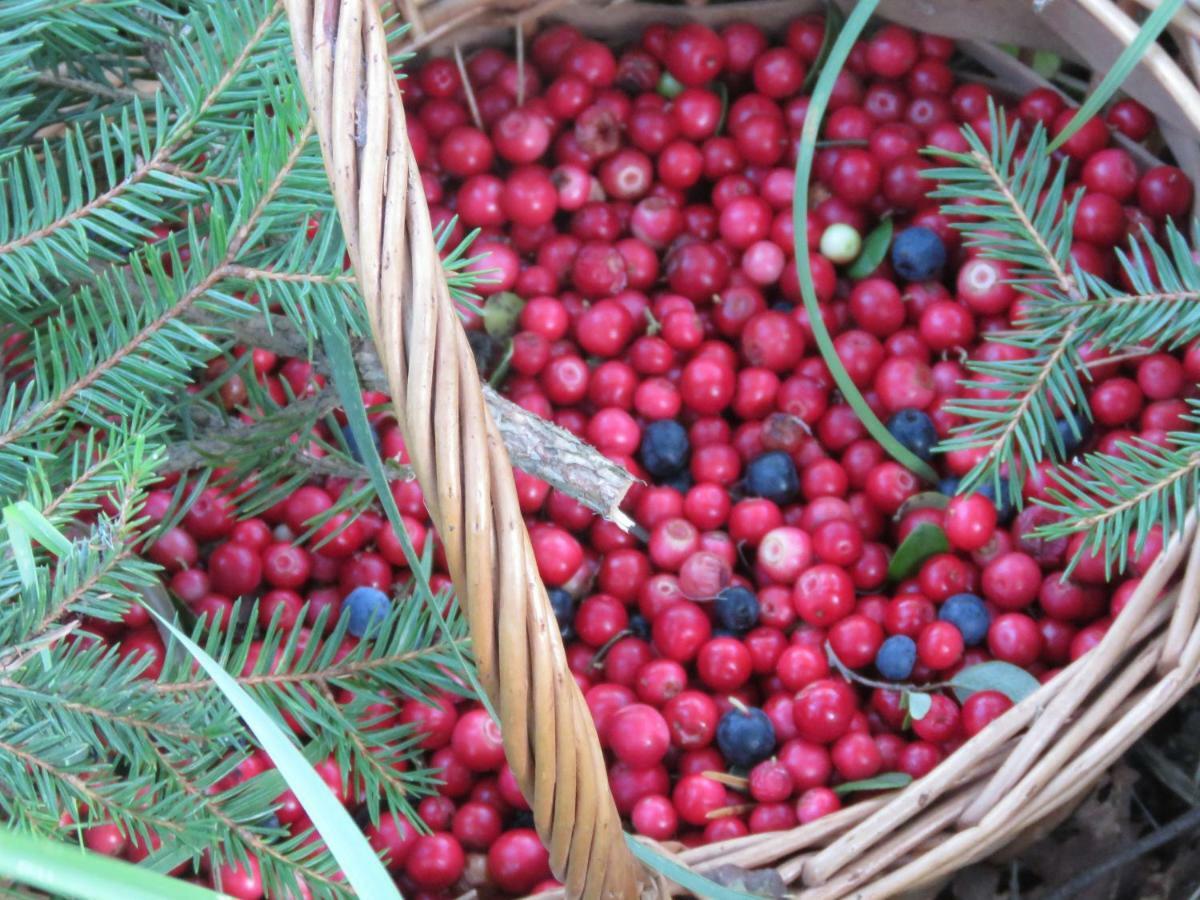 Kaebi Holiday Homes Ainja 外观 照片